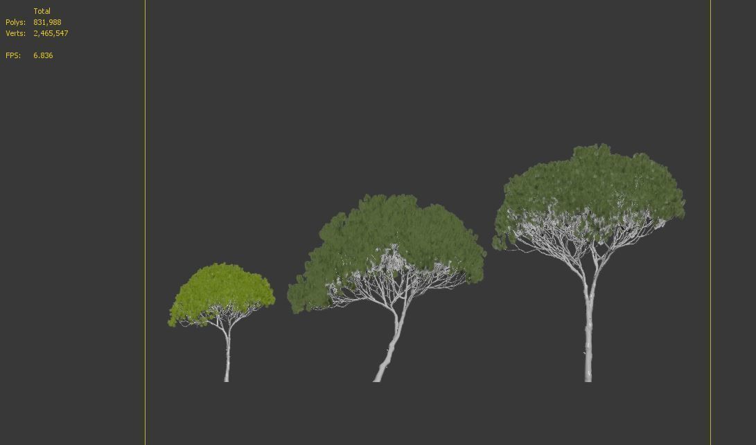 Stone pine 04  3D model_8