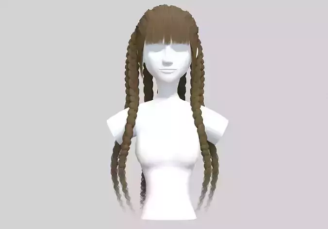 Braids Stylized Hairstyle 