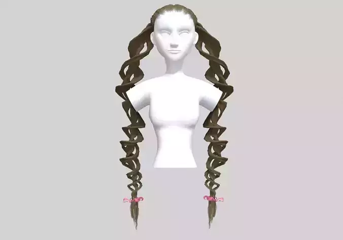 Braids Pigtails Hair 