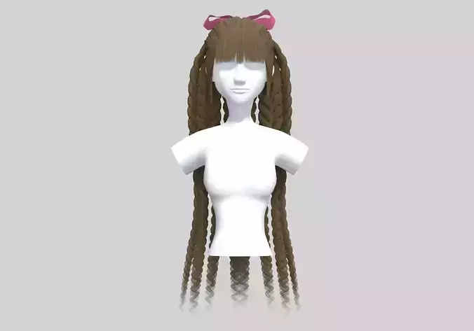 Braids Pigtail Hairstyle 