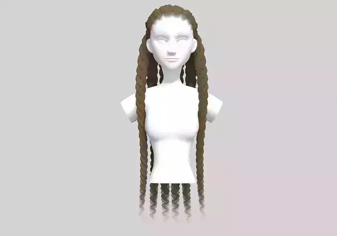 Braids Long Hairstyle 