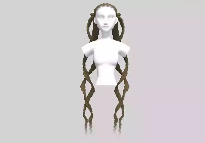 Braids Long Hair 