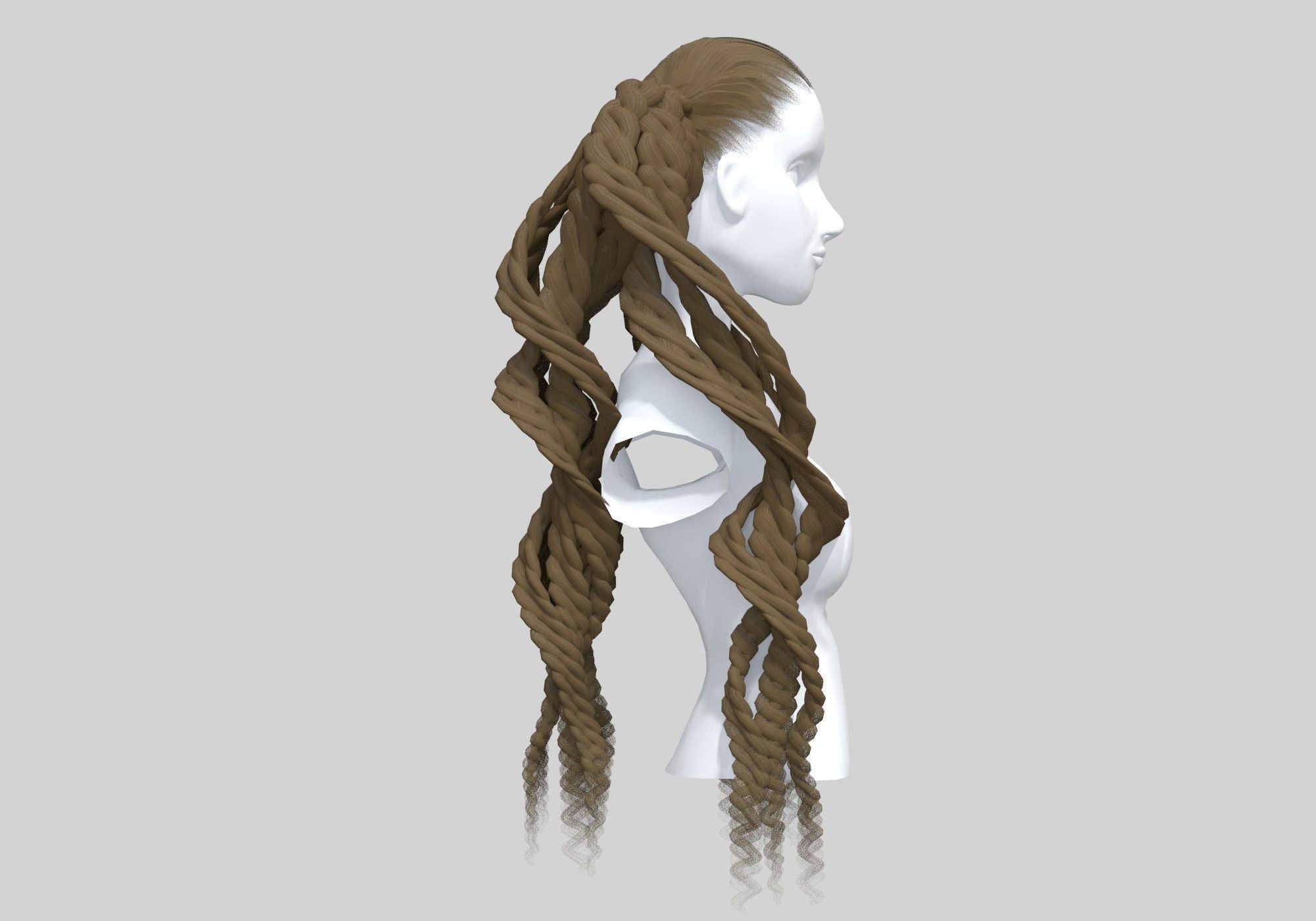 Braids Curly Hair  3D model_2