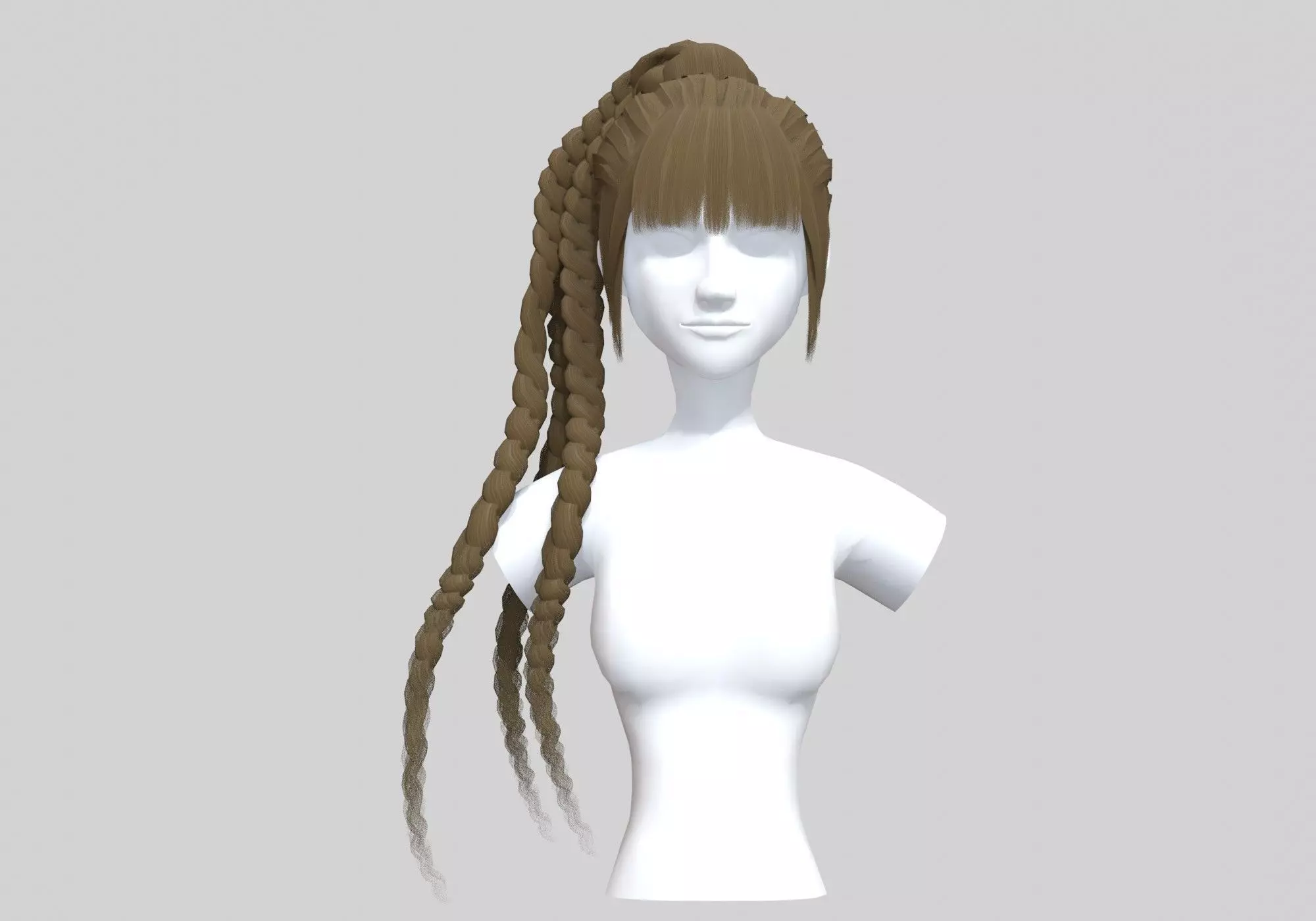 Braids Bun Hairstyle  3D model_0