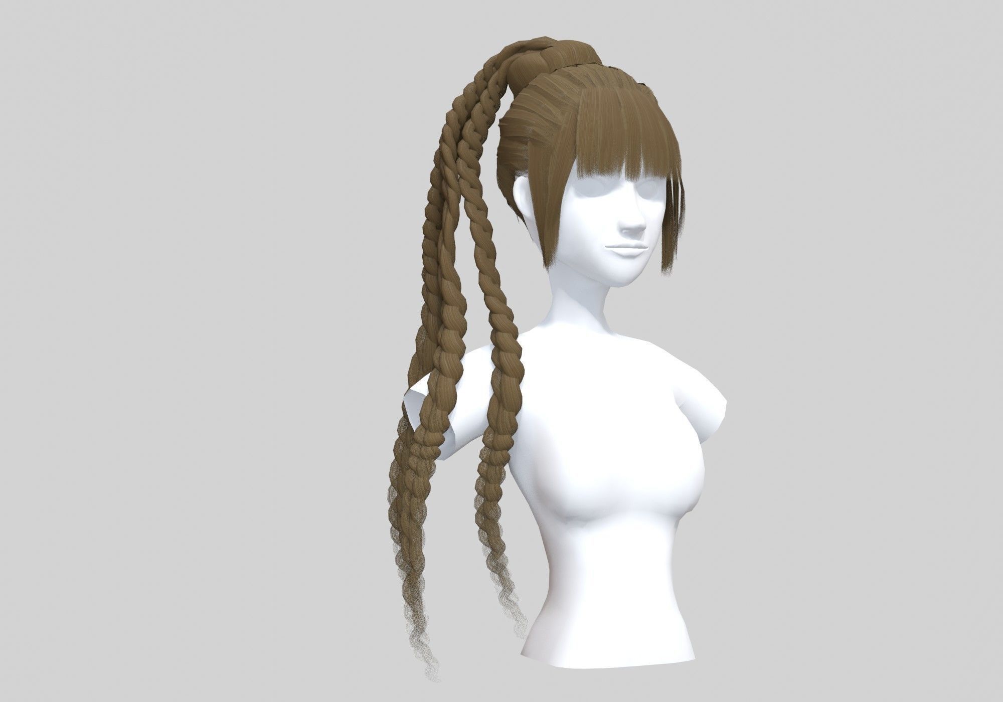 Braids Bun Hairstyle  3D model_1
