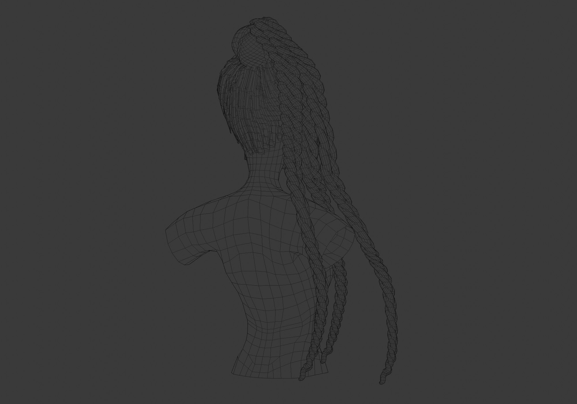 Braids Bun Hairstyle  3D model_8