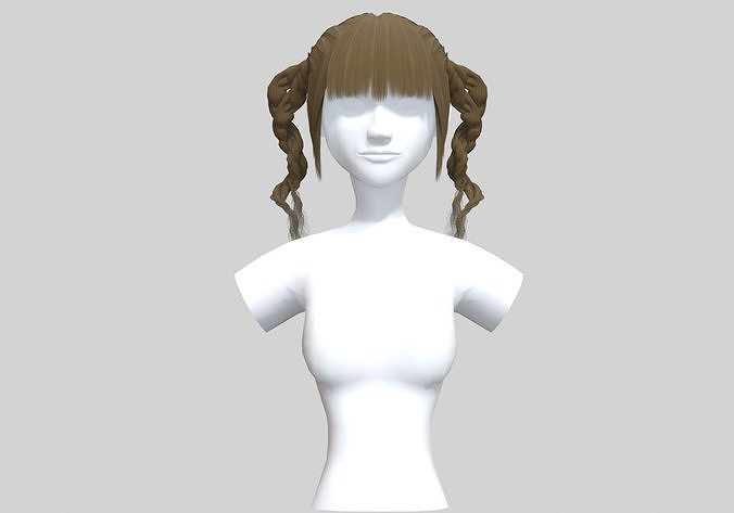 Braids Bangs Hair  3D model