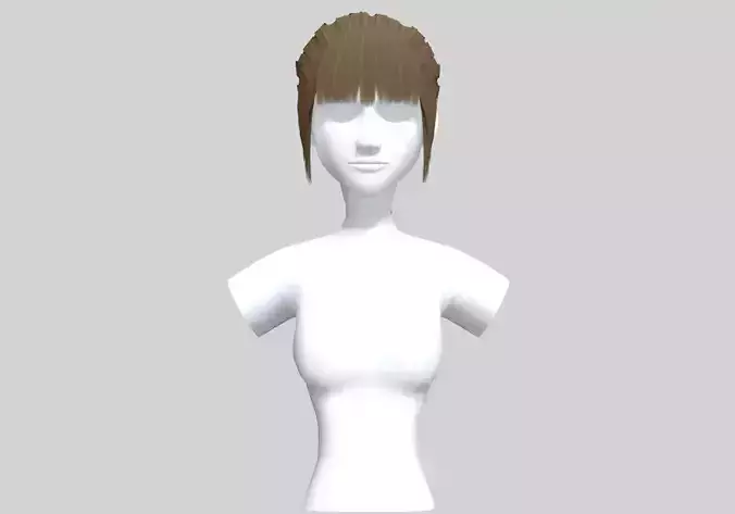 Basic Braid Hairstyle 