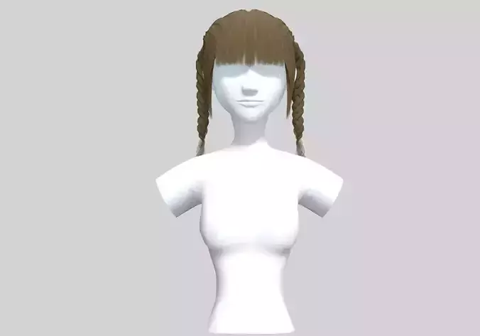 Bangs Ponytails Hairstyle 