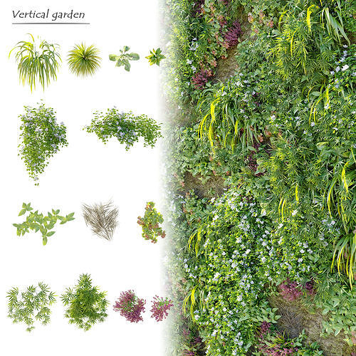 Vertical garden plants 3D model