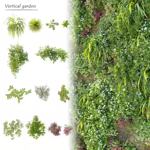 Vertical garden plants 3D model