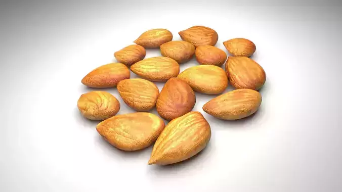 Apricot Kernels