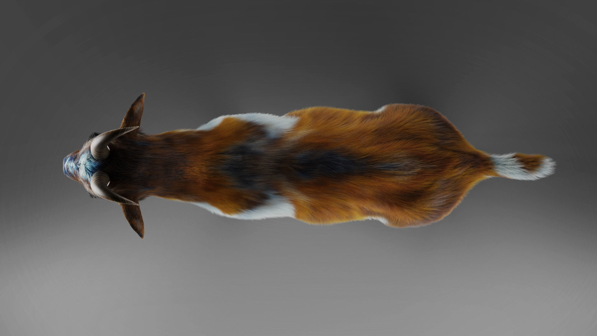Fur Goat 01 Rigged in Blender Low-poly 3D model_5