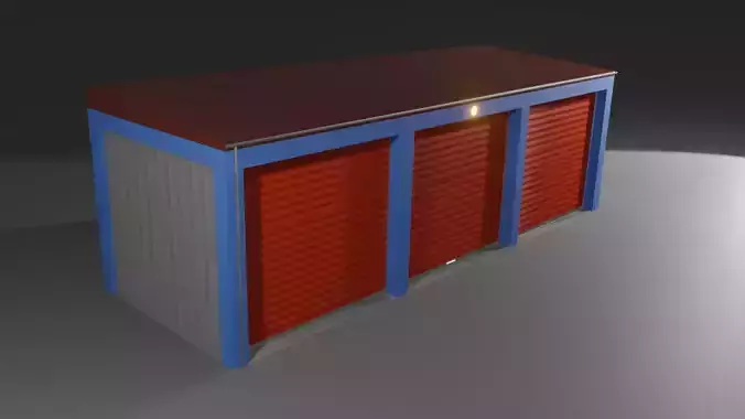 Public Storage 10x10 feet garage