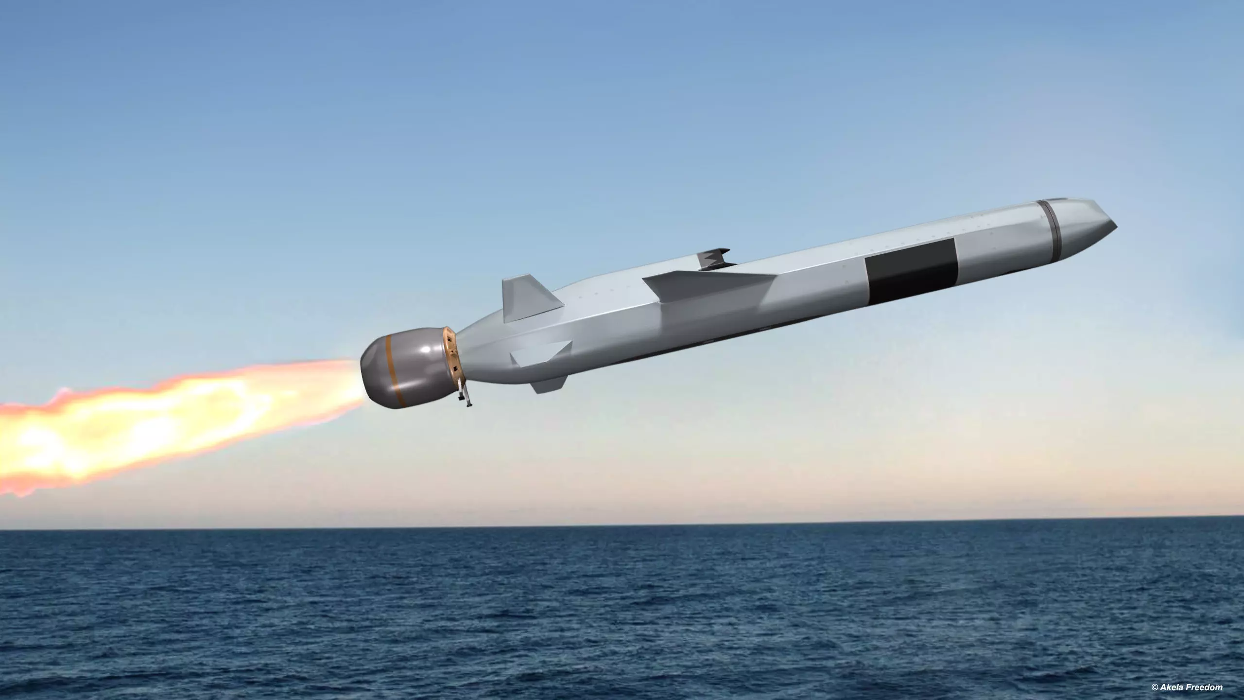 Naval Strike Missile 3D model_0