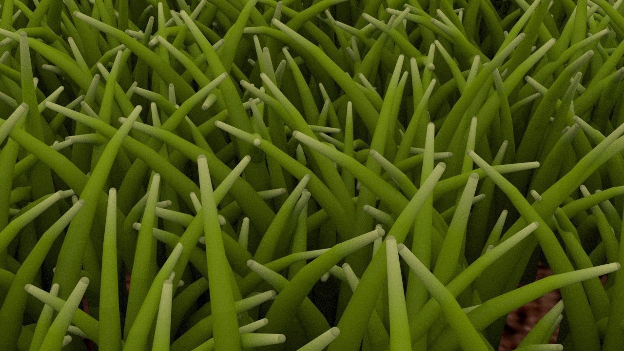 Grass 3D model_2
