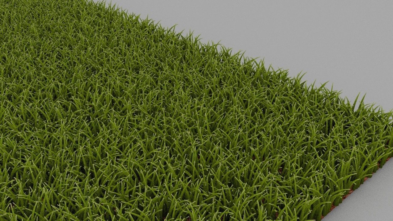 Grass 3D model_5