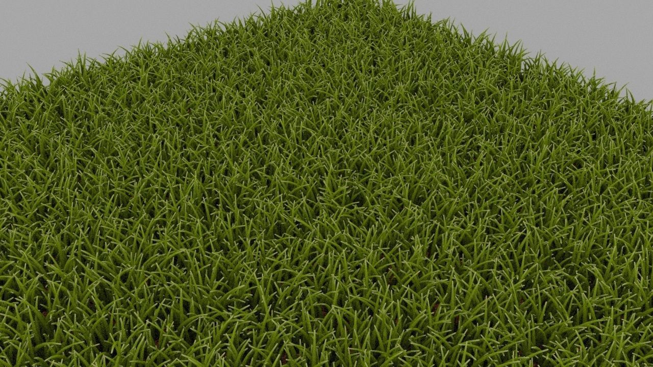 Grass 3D model_1