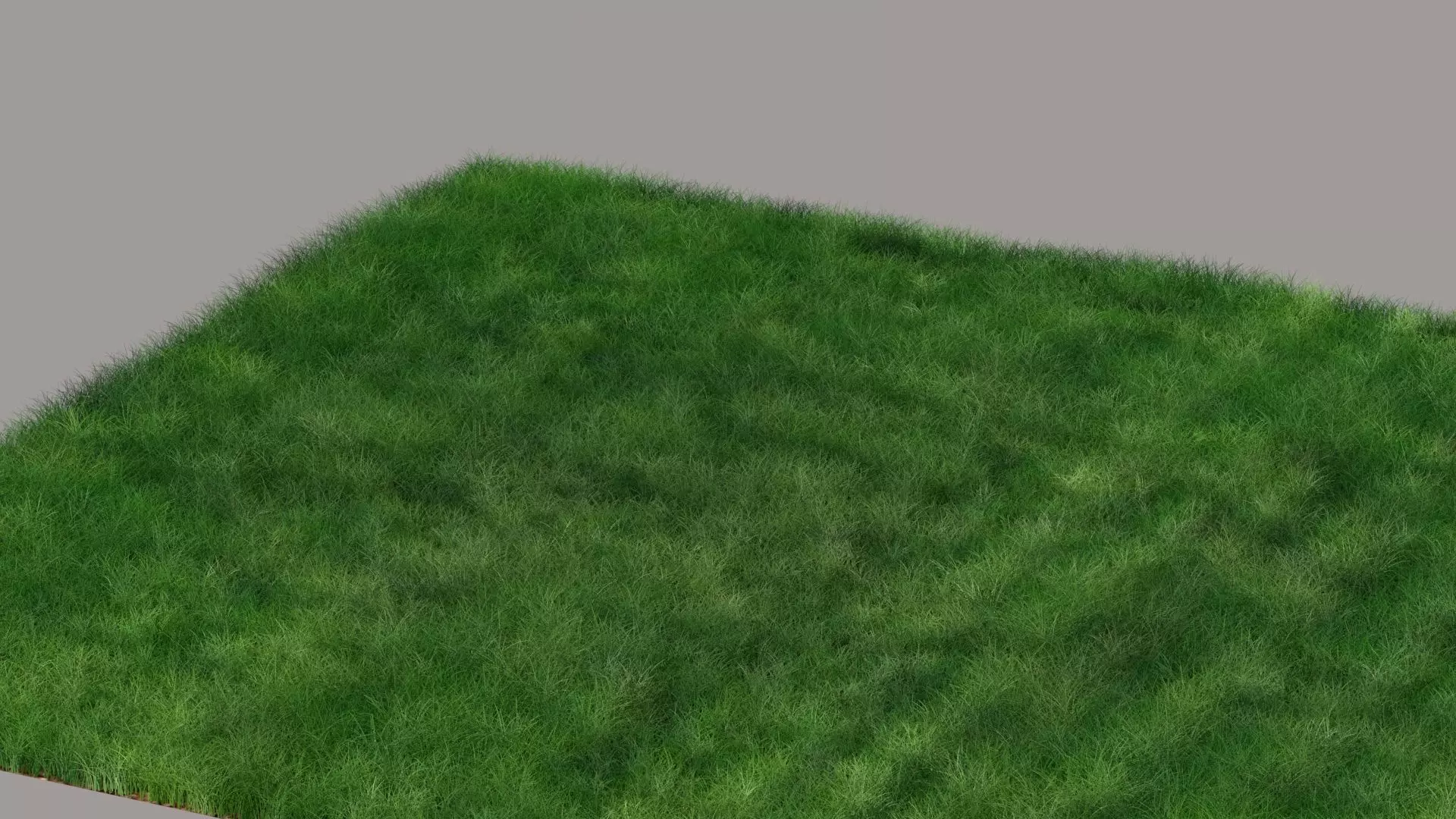 Grass 3D model