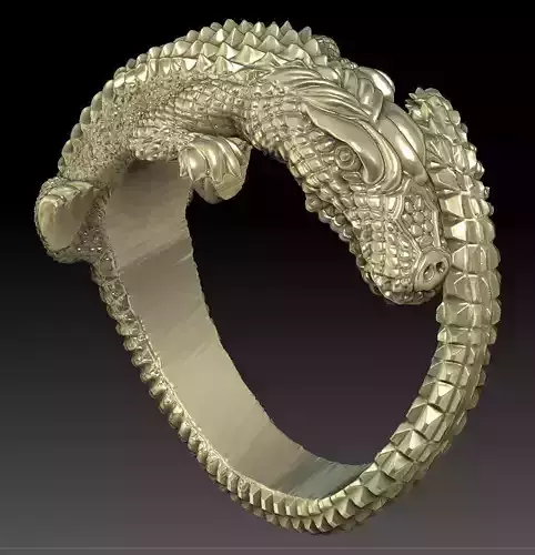 Ring crocodile