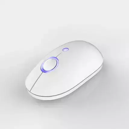 Mouse