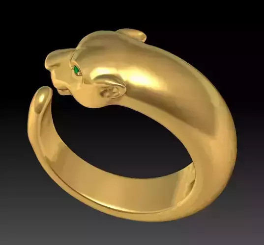 Ring cat
