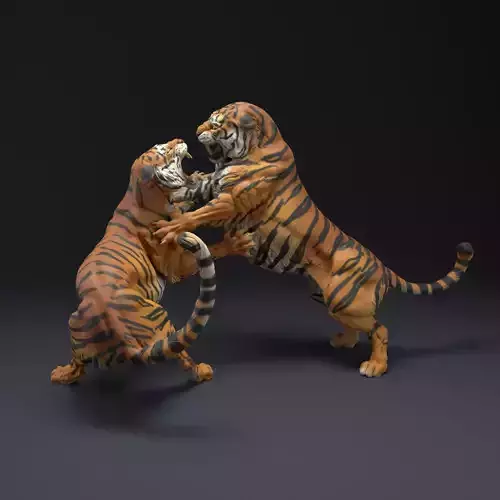 Bengal Tigers Fight for 3D Printing
