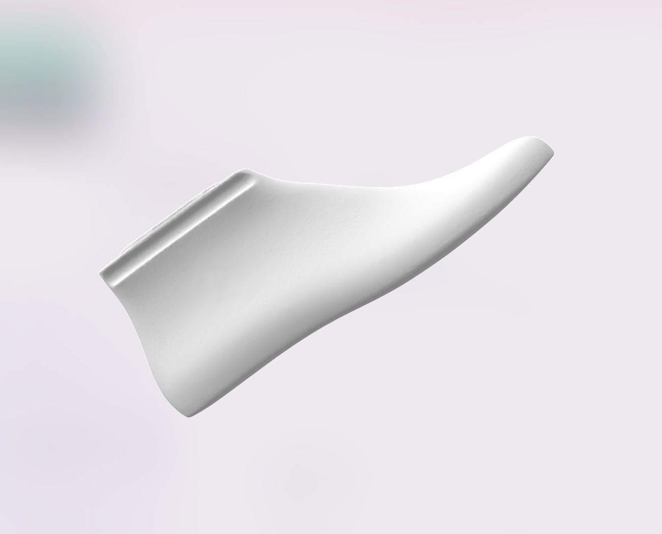 Embauchoir bois a chaussures forme de pieds realiste footwear 3D print model_2