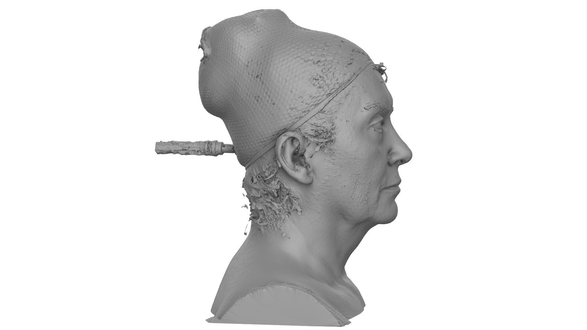Raw 3D Head Scan Isolda Hoven 3D model_6