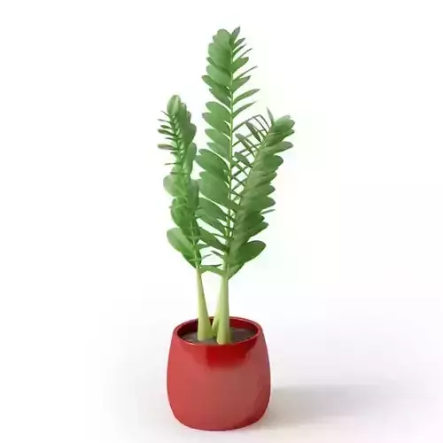 Potted Plant In A Red Pot