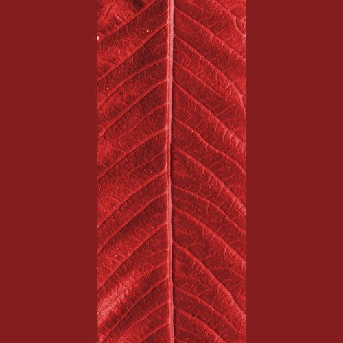 table ornate dining with chairs 3D model_3