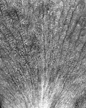 table ornate dining with chairs 3D model_7