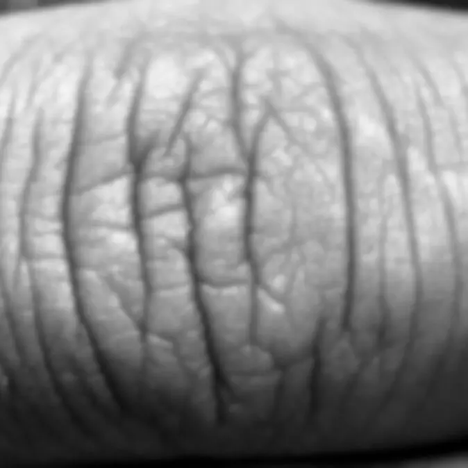 20 Human Skin Alphas Pack 3D model_0