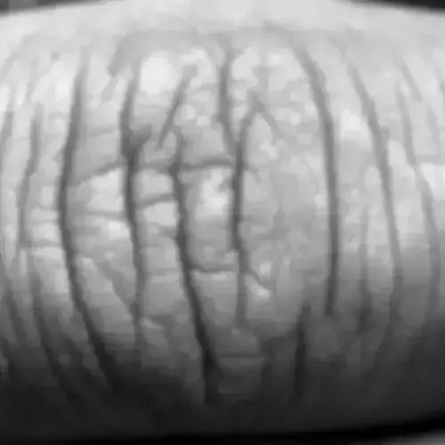 20 Human Skin Alphas Pack