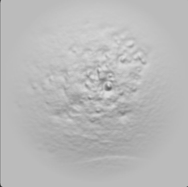 20 Human Skin Alphas Pack 3D model_2