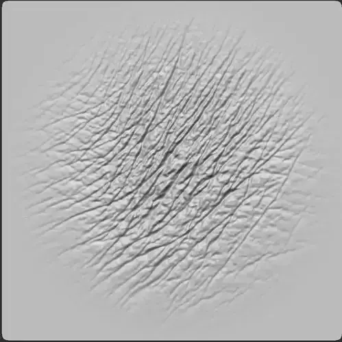 10 Elephant Skin Alphas High Quality Detail