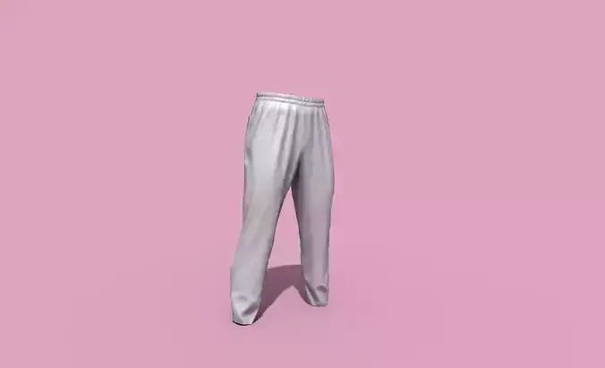 Sport pants