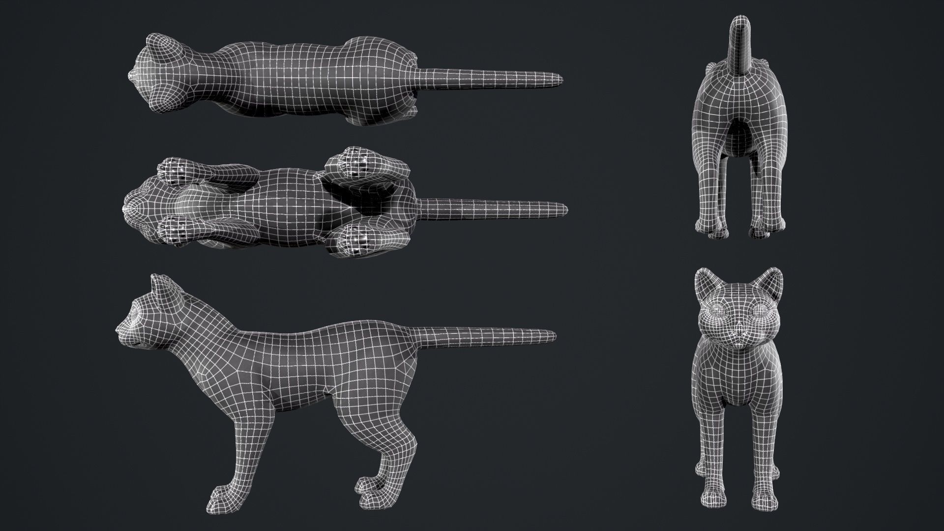 Cats stylized Low-poly 3D model_10