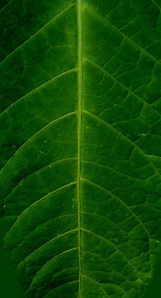 table dining set 3D model_3