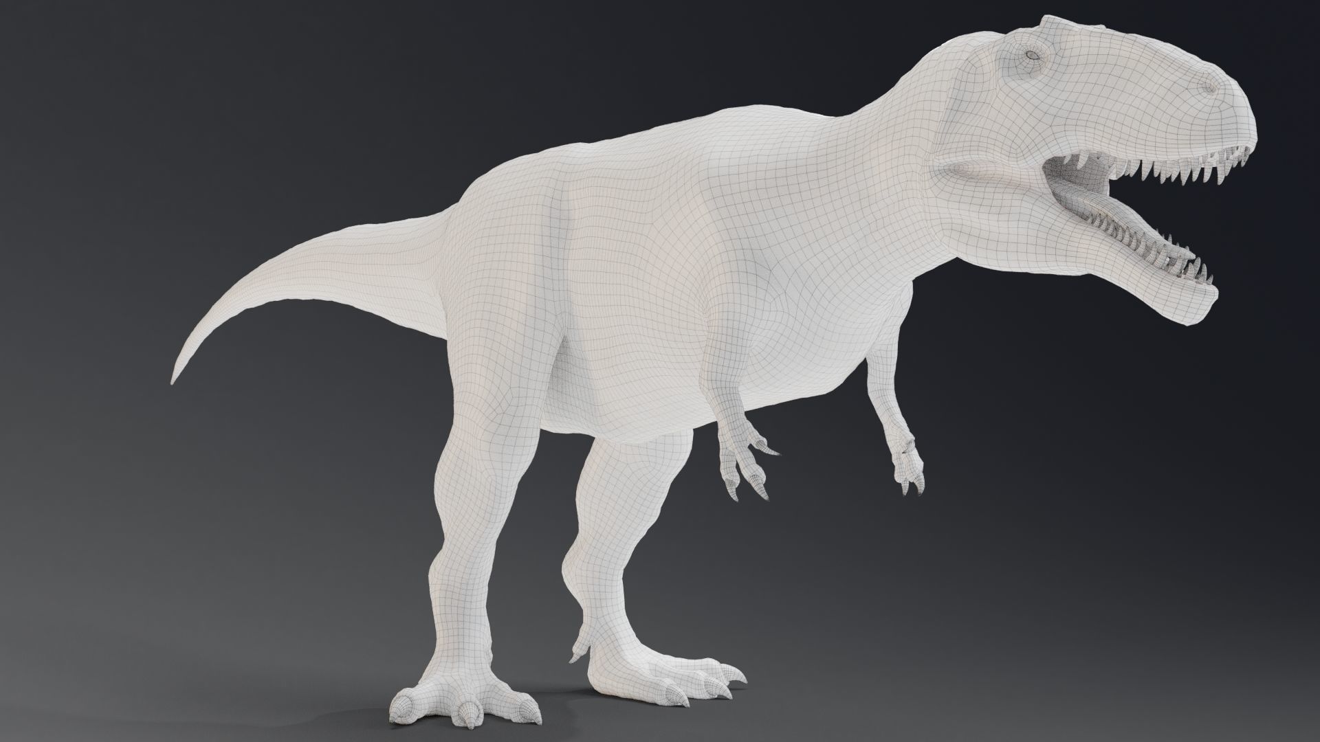 Dinosaur Giganotosaurus Real Dinosaur Series Low-poly 3D model_42