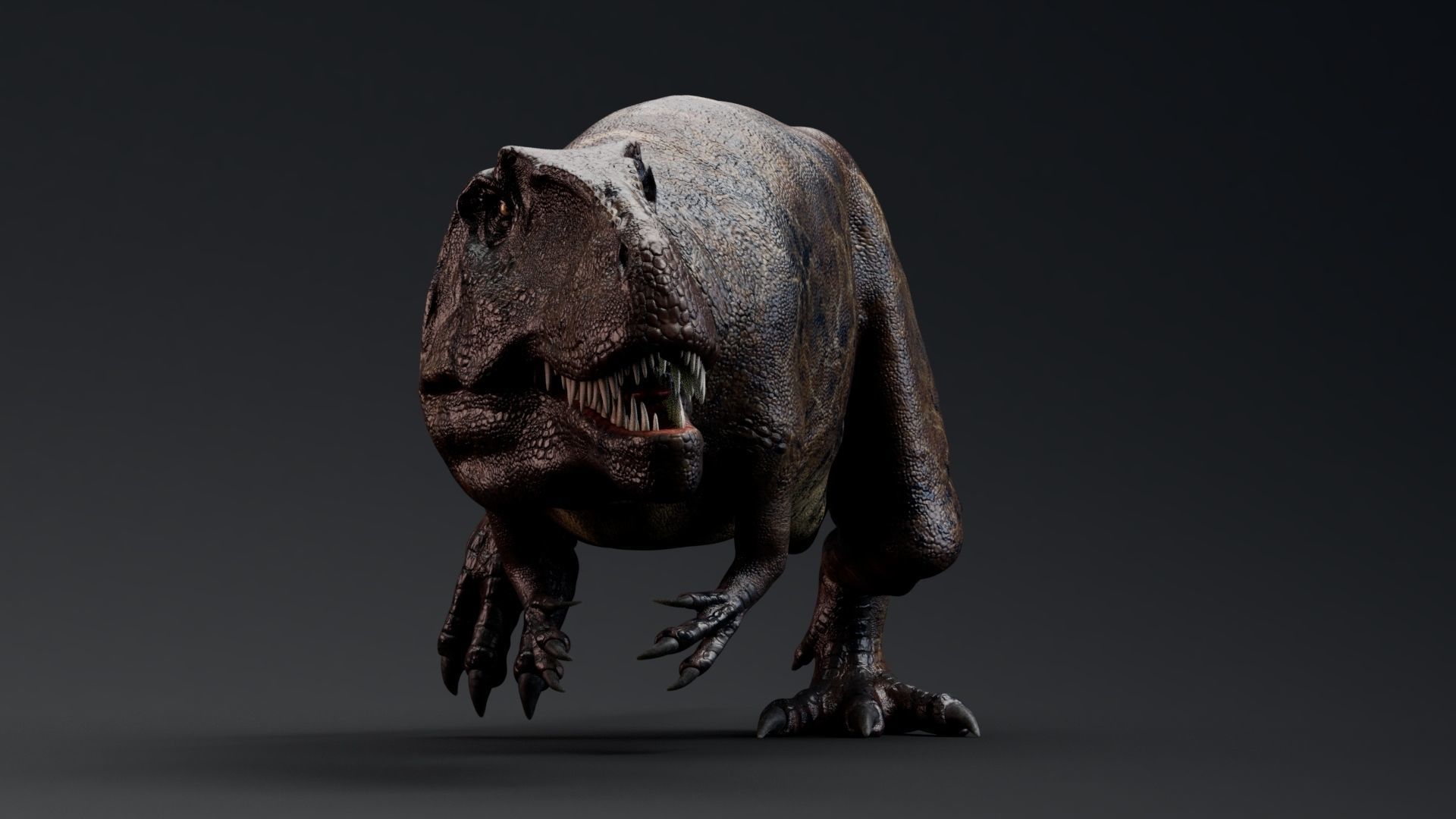 Dinosaur Giganotosaurus Real Dinosaur Series Low-poly 3D model_32