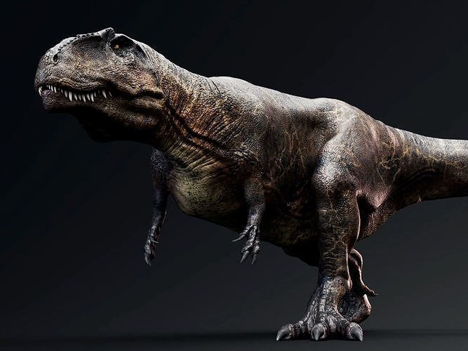 Giganotosaurus Real Dinosaur Series Low-poly 3D model