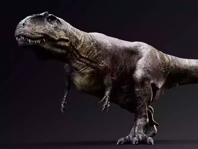 Dinosaur Giganotosaurus Real Dinosaur Series