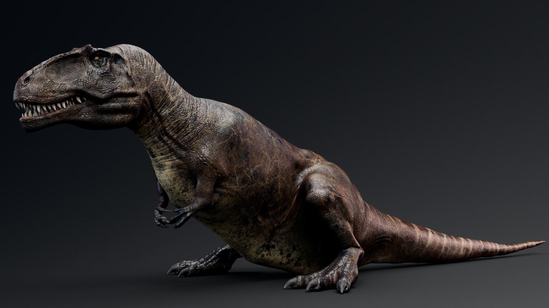 Dinosaur Giganotosaurus Real Dinosaur Series Low-poly 3D model_29