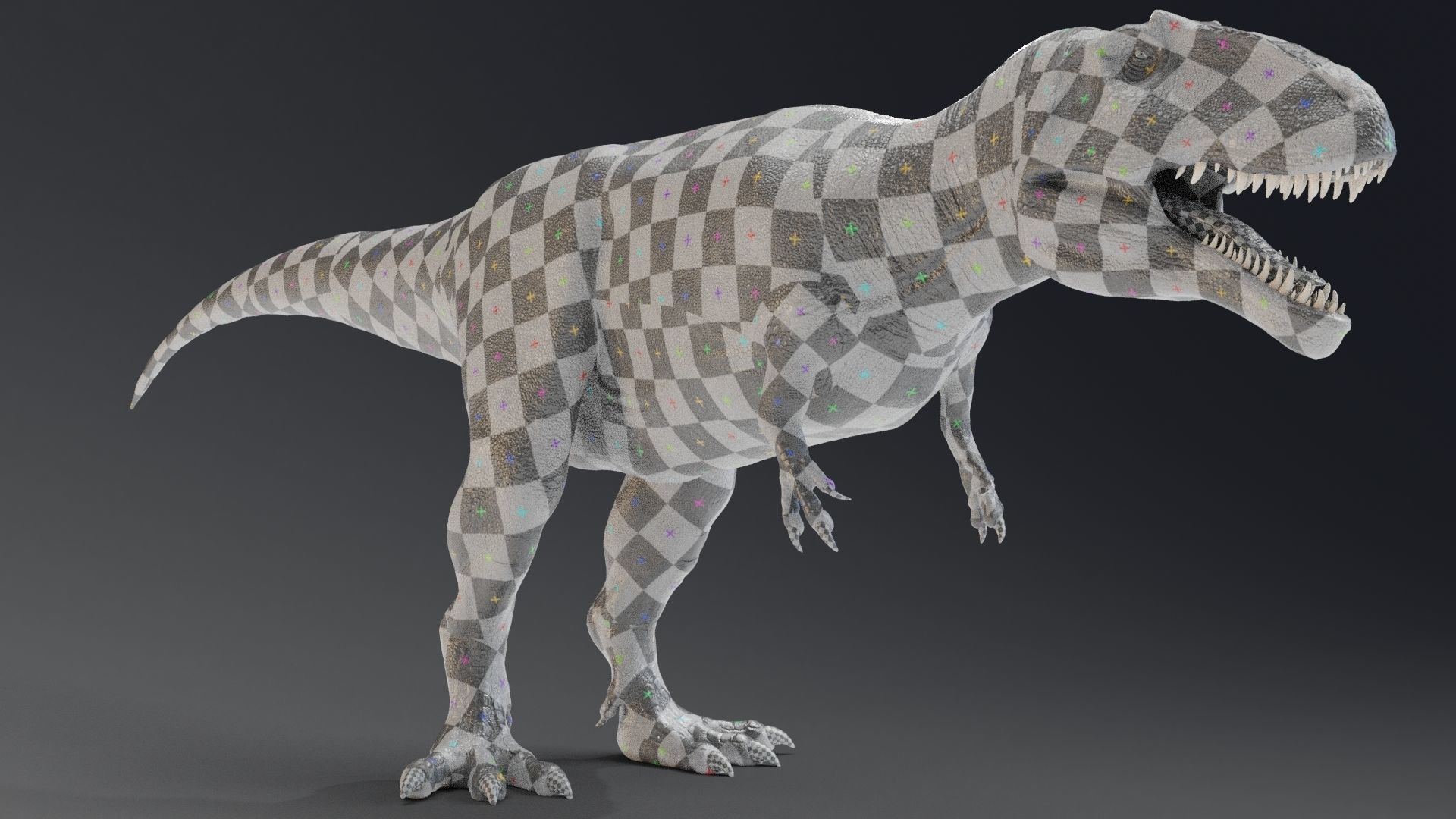 Dinosaur Giganotosaurus Real Dinosaur Series Low-poly 3D model_43