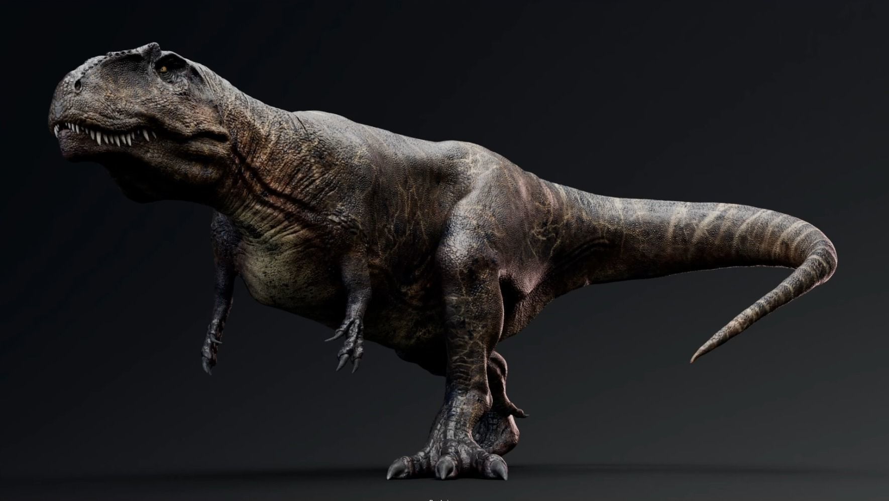 Dinosaur Giganotosaurus Real Dinosaur Series Low-poly 3D model_22