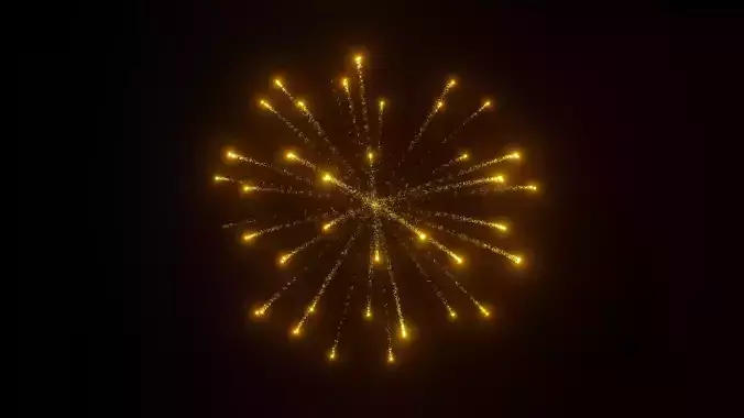 3D Animated Firework 3D model