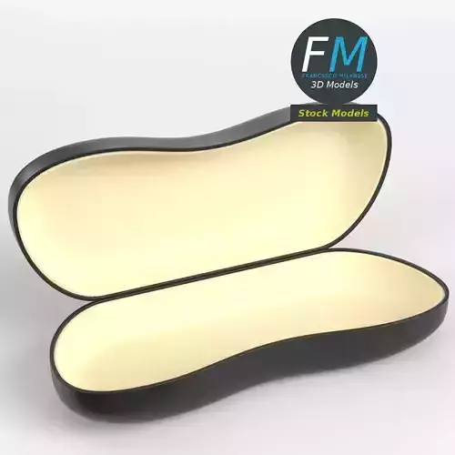 Eyeglasses empty case 1