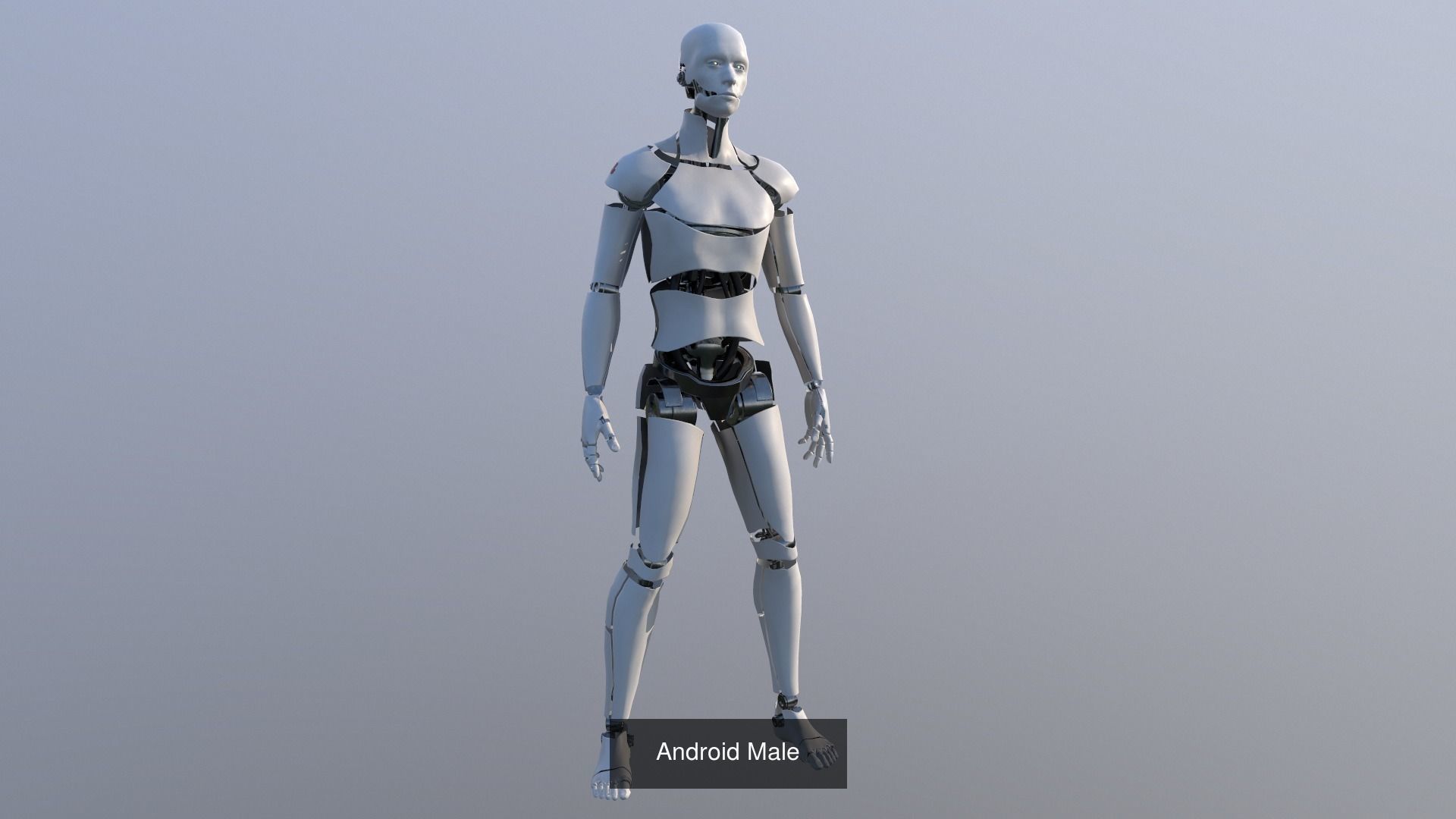 Android Pack 3D Model Collection_5