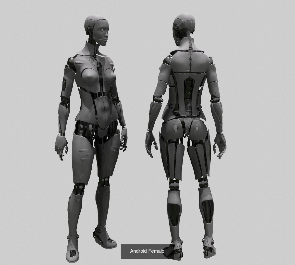 Android Pack 3D Model Collection_4